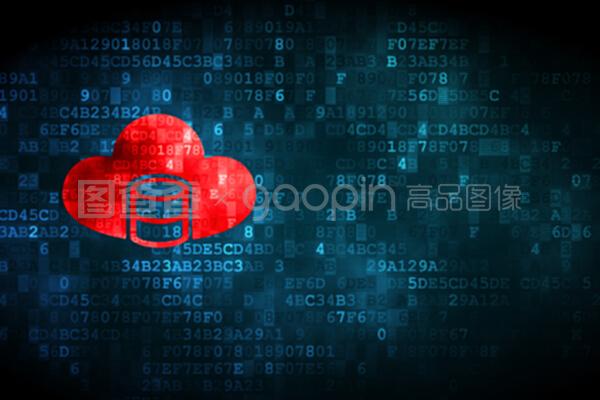 数字时代的数据基石 数据库、网络信息安全与软件开发